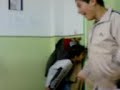 classa(avc fouzi) classa(avc fouzi)