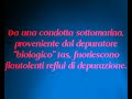 Il depuratore 