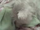 chloe1 chloe1