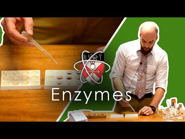 Enzymes