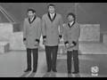 Los tontos - Vivo cantando / Casatschok