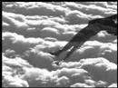 A Dancer Drops Out Of The Sky