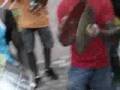 Arrastão VNZ 2008