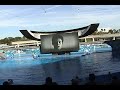 Seaworld part 2