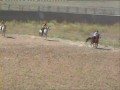 Erzurum Kombina Atlı Spor - Bayburt Atlı Spor Cirit 2009