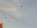 RC,heli,3D