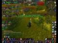 videos de PvP warrior paladin