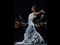 rumba gitana titi robin thierry robin,gypsy flamenco