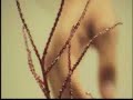 Escombros de un sue�o 1-2