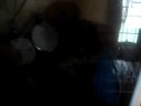 None at Last recording Drums (EP Becoming Someone)