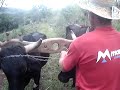 Recanto do Orland�o