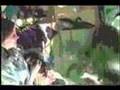 videos de The BRAVE Cowardly Lion's Grand Deput