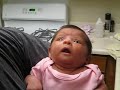 baby amarillis