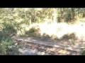 videos de Proposed biomass plant site