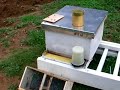 Installing a Bee Package