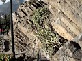 Santa Lucia - Santiago - The steep stone stairs