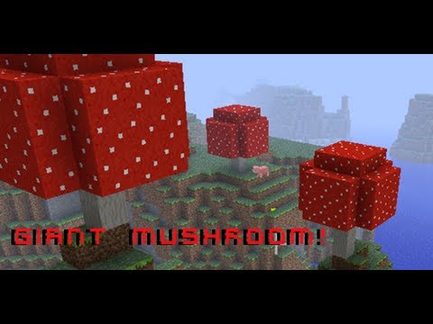 how to grow a giant mushroom in minecraft xbox