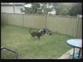 bottle to the head