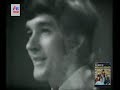 Herman's Hermits  - Something's Happening