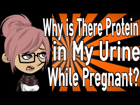 how to eliminate protein in urine