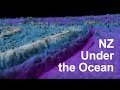 New Zealand under the Ocean