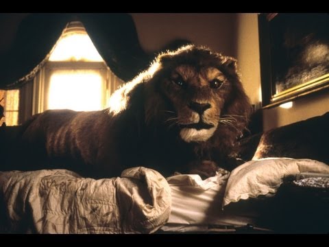Animatronic - Right after wrapping up Goro on MORTAL KOMBAT, we got the job creating animals for JUMANJI. All the animals were designed to look like they were from a child...