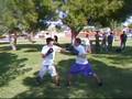 L2C BOXING