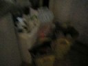 Exploring the kitchen. Being retarded