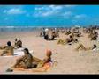 landscapes of Alagoas and Sergipe - Inmotactoverseas.com
