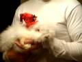 Little Nibbler the Bunny Rabbit Wishes Everyone a Merry Christmas