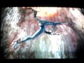 Bayonetta Trailer Bayonetta Trailer