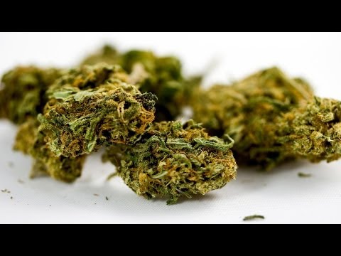 how to get more cbd in weed