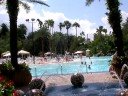hardrock hotel orlando