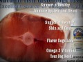 grizzly salmon oil for dogs