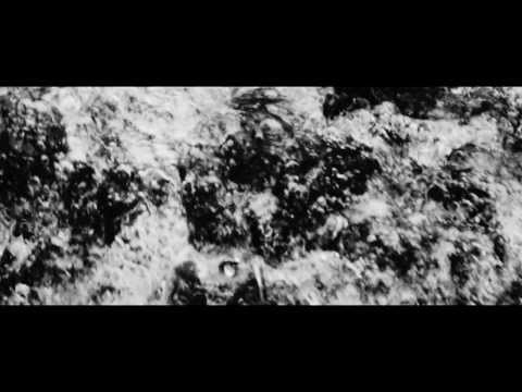 Reptile Youth - JJ
