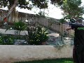 waffle shocker shooting a pod