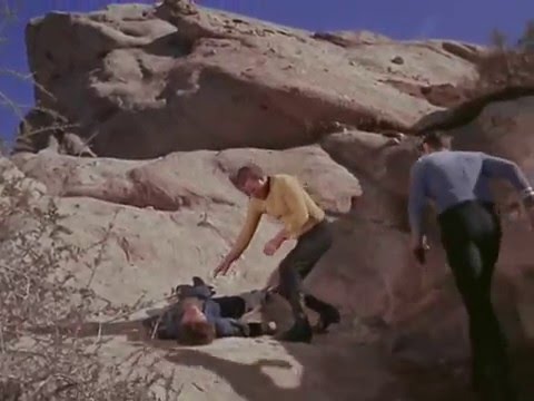 Grace Lee Whitney