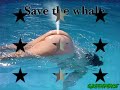 Compilation of funny pics