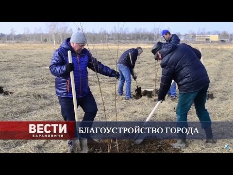 Вести Барановичи 01 апреля 2019.