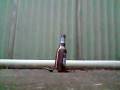videos de glovegun into glass bottle 120fps
