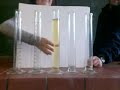 Nawi - Bunte Reihe
