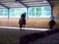 Ulla Salzgeber Dressage Warm Up Professional Competition