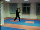 Allstyle-esv Allkampf Jiu Jitsu