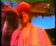 Beach Boys - Still Cruisin'