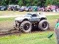 Mud Shark