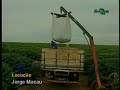 PARTE 1 - Produção Integrada de Café - Embrapa café