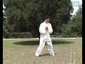 Hunan - Wu Family Boxing [巫家拳 - 掐吊六肘]