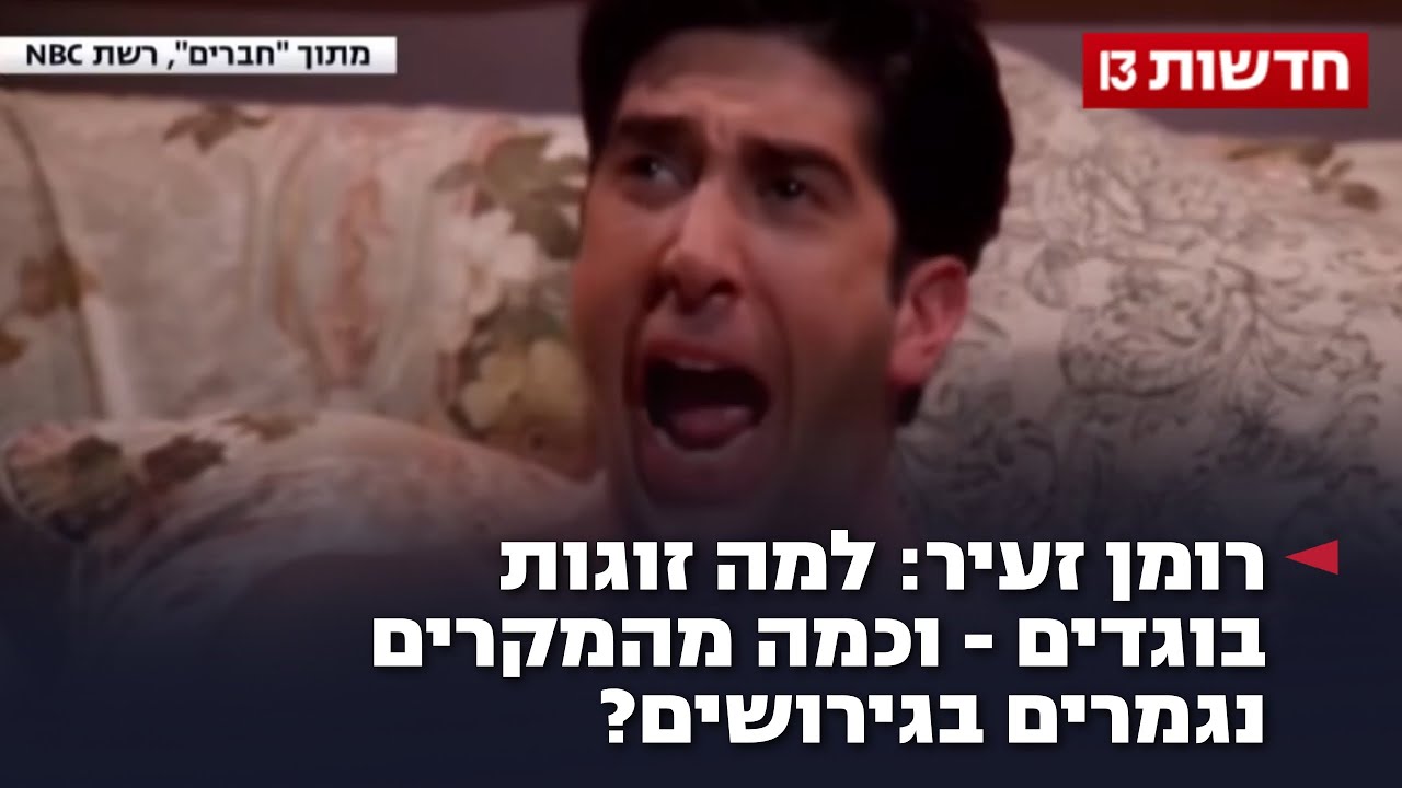 רומן זעיר: למה זוגות *ים – וכמה מהמקרים נגמרים בגירושים? רומן זעיר: למה זוגות *ים – וכמה מהמקרים נגמרים בגירושים?