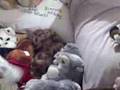 Webkinz V.s. Build A Bear 2- The Conclusion