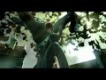 Espíritu del Bosque - Trailer oficial